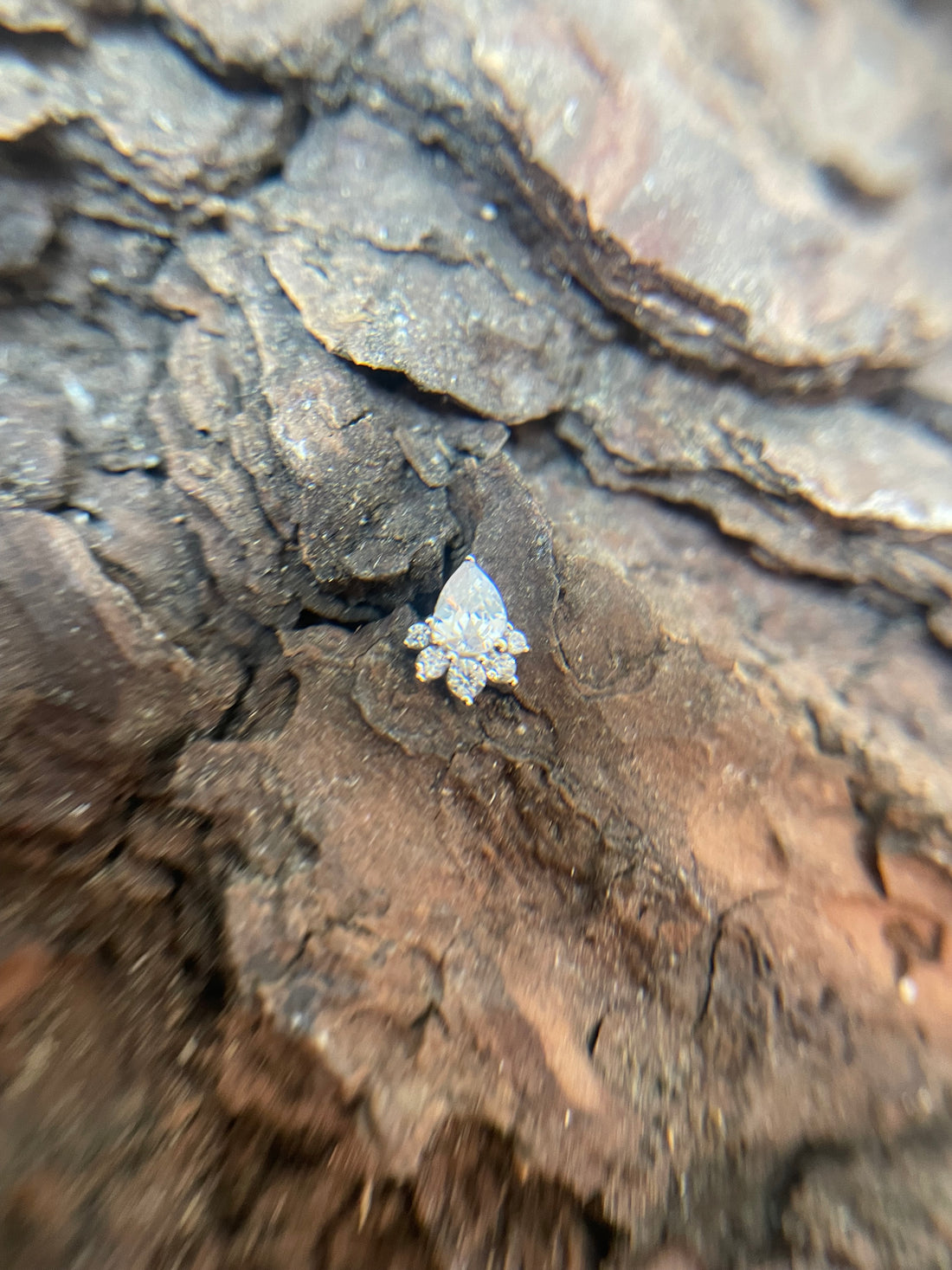 White Gold Frosted Petal Dermal Top