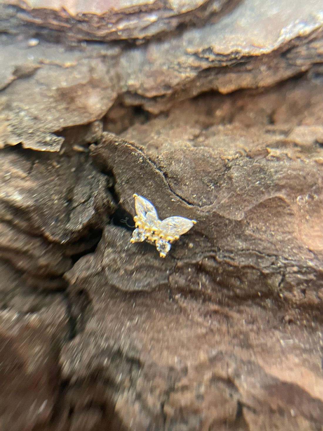 Gold Butterfly Dermal Top