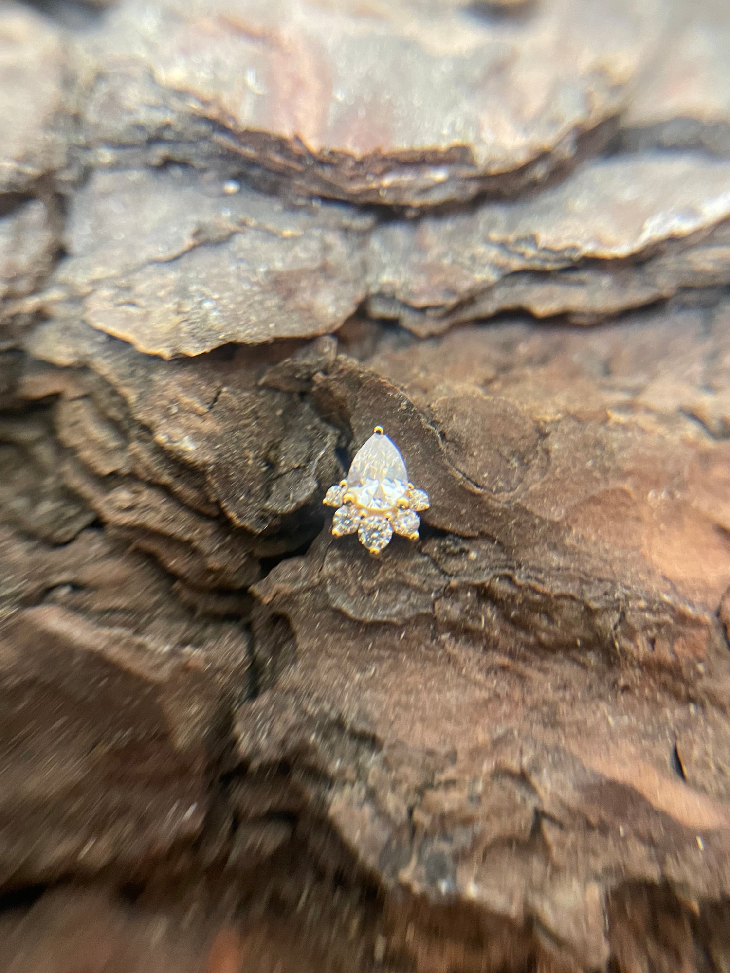 Gold Frosted Petal Dermal Top