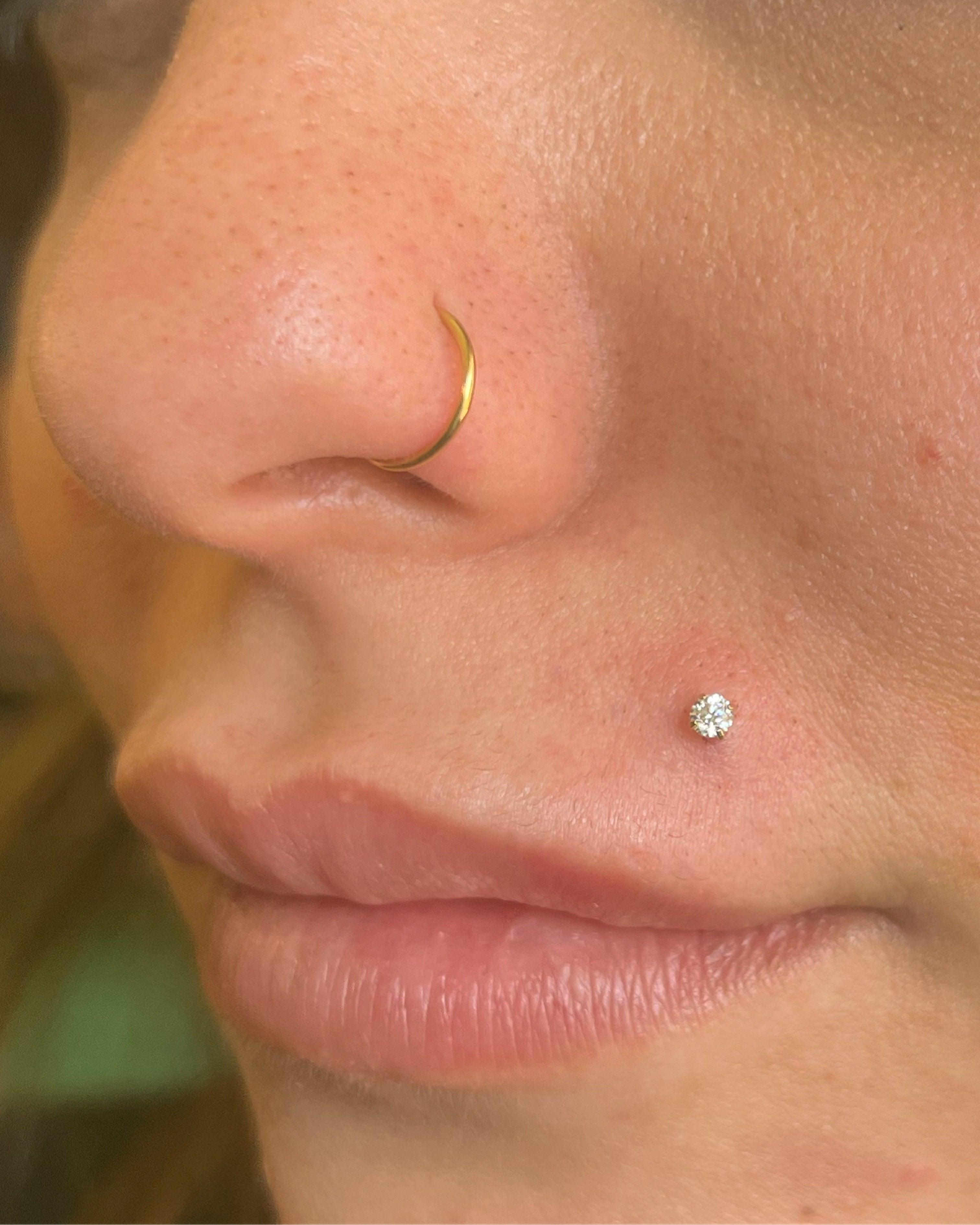 Titanium Nose Ring 13