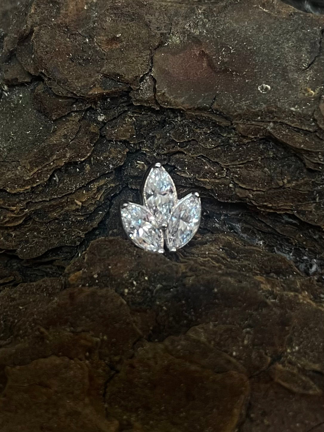 White Gold Lotus Dermal Top