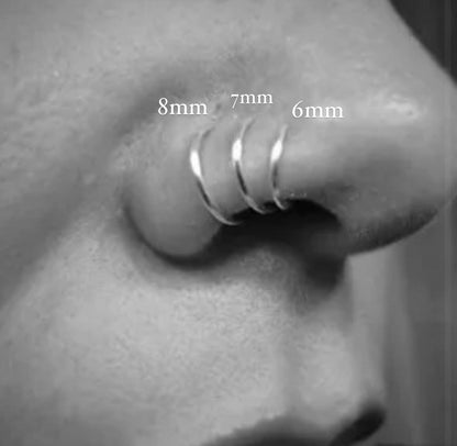 Titanium Nose Ring 13