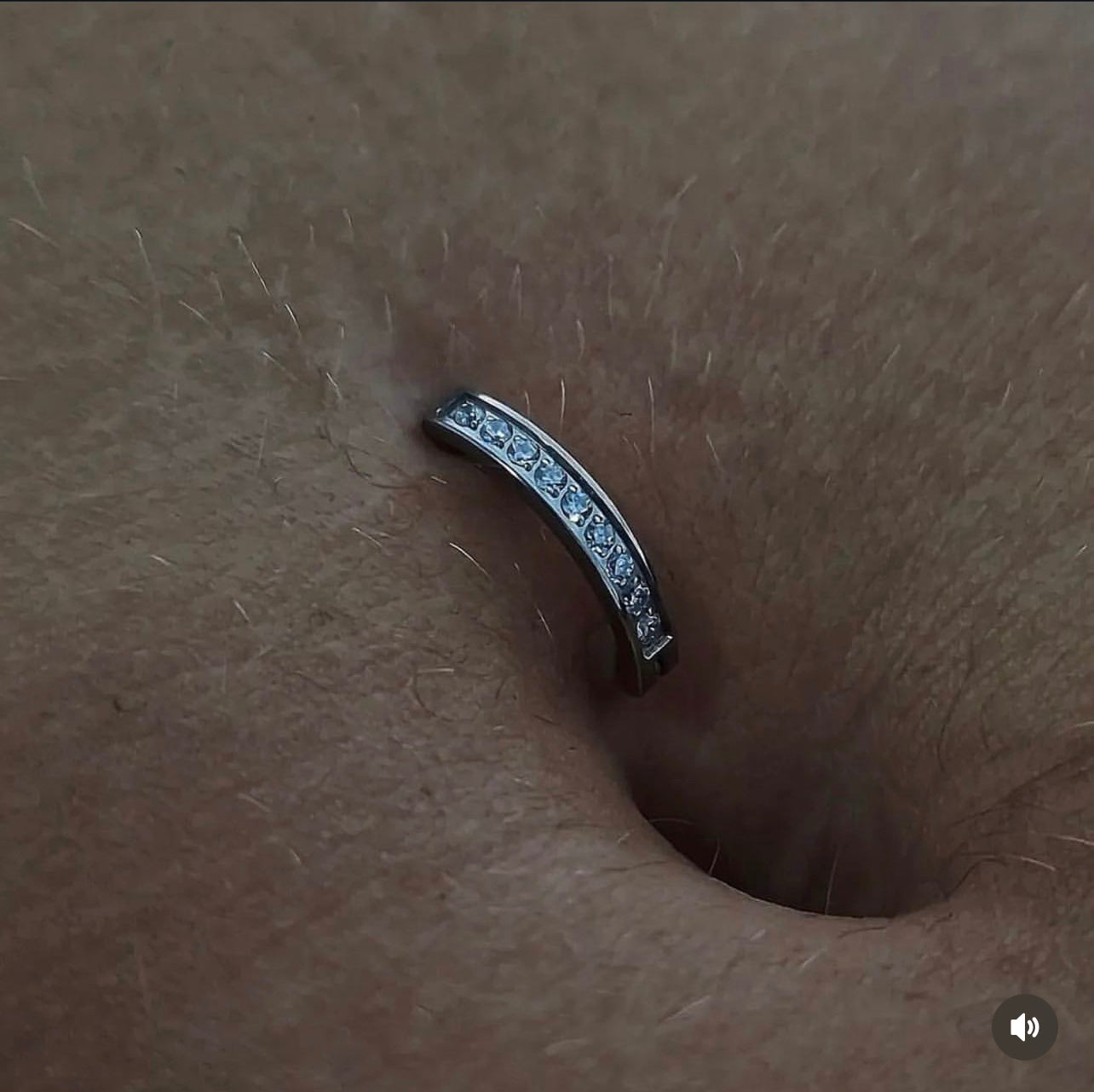 Titanium Belly 1