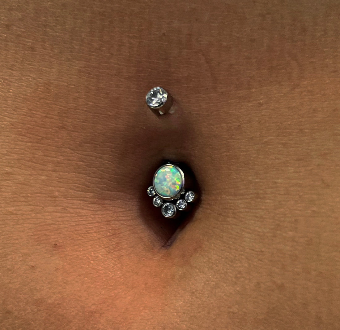 Titanium Belly 25