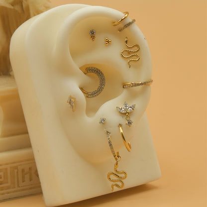 Titanium Earring 60