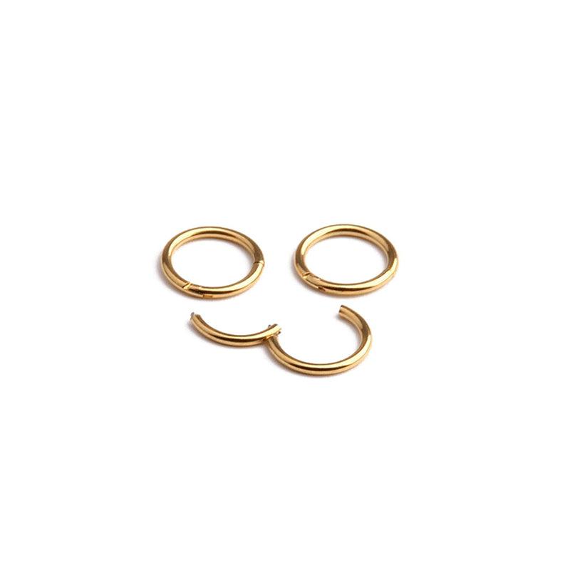 Titanium Nose Ring 13